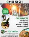 Tree Lopping | TJA Tree Services logo